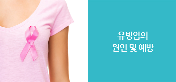 유방암 관련 사진
