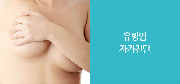 유방암 자가진단